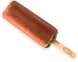 chocolate dipped mint ice cream bar