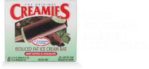 mint chocolate dipped ice cream flavor