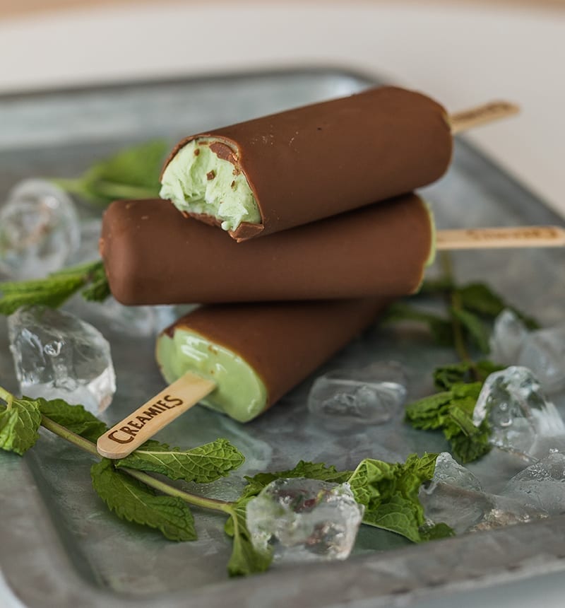 mint chocolate dipped ice cream flavors